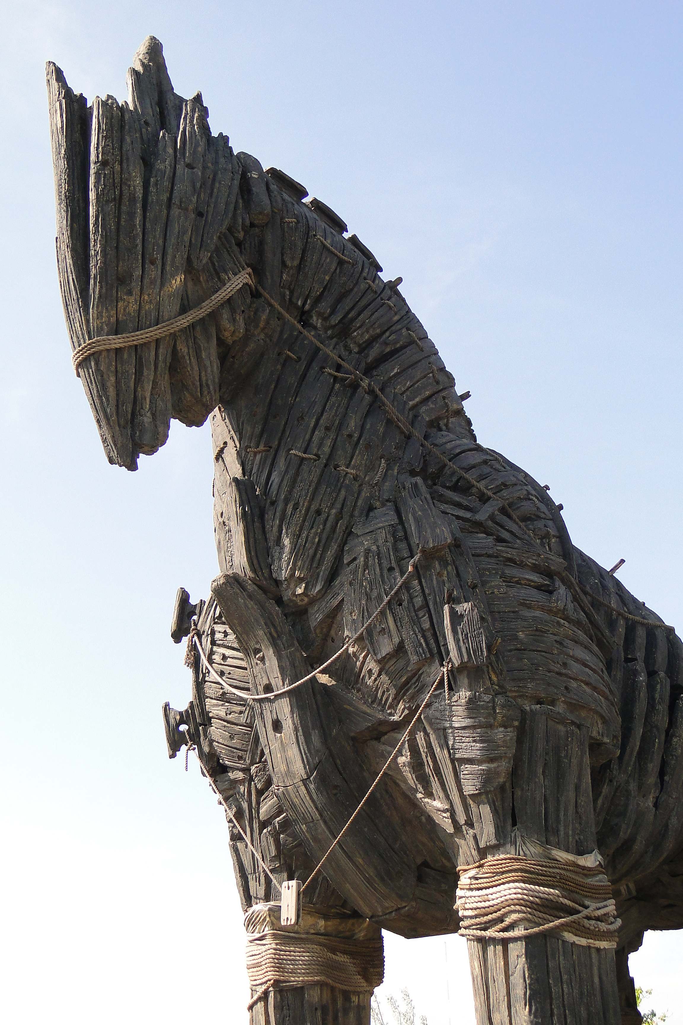the_trojan_horse_image_753.jpg